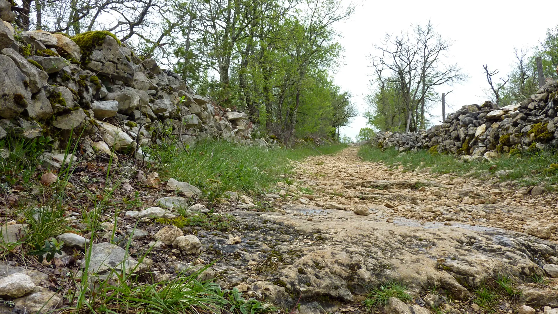 Néguebout - Chemin de pierre blanche © Lot Tourisme - C. Sanchez