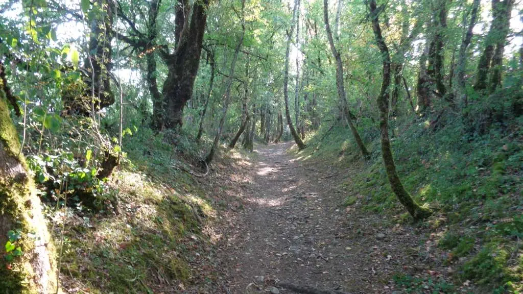 Noailhac - GRPMC 1 - VTT