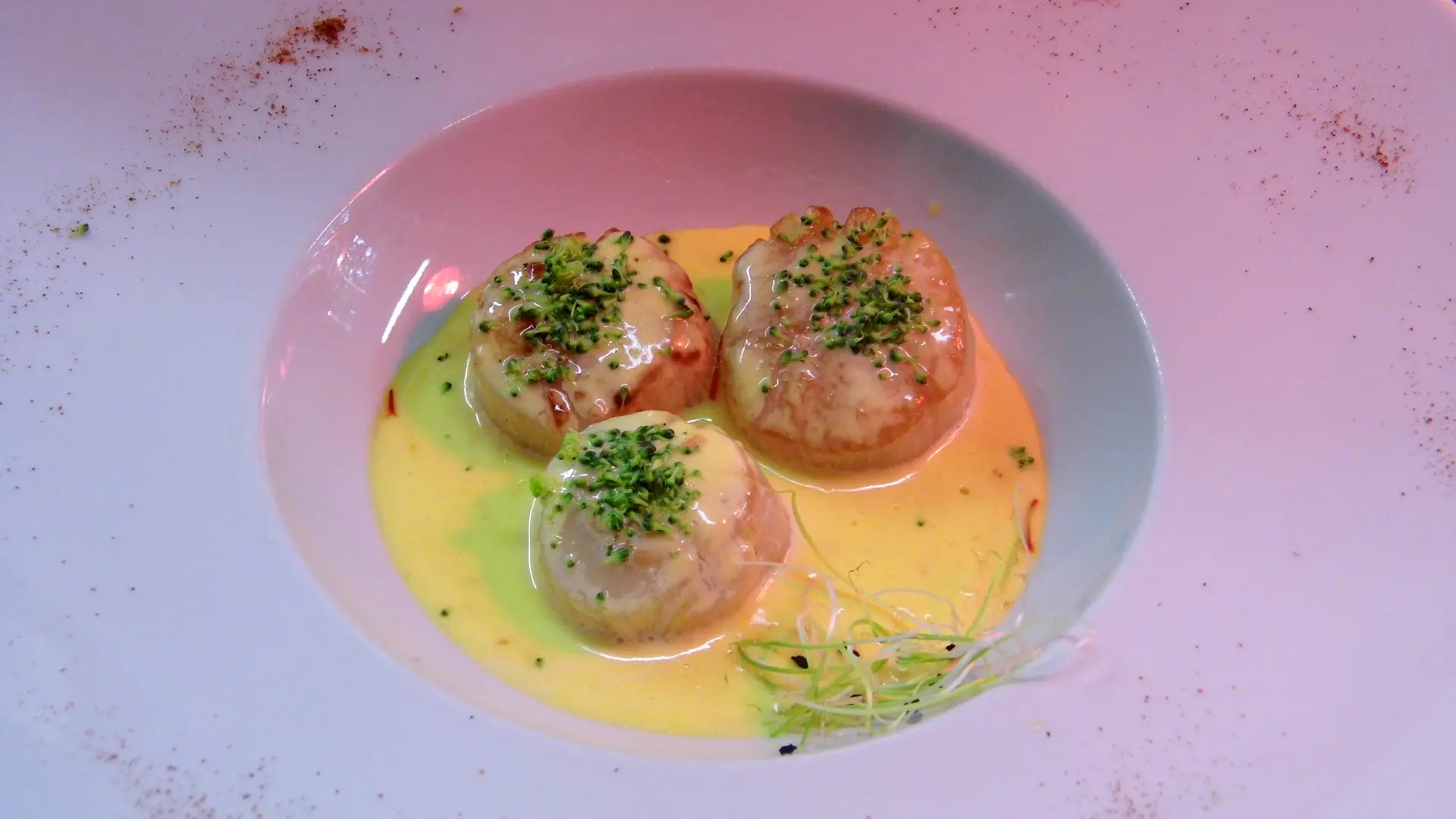 Noix de Coquilles Saint-Jacques sauce Safran - Restaurant La Bergerie_01 © 3wcom