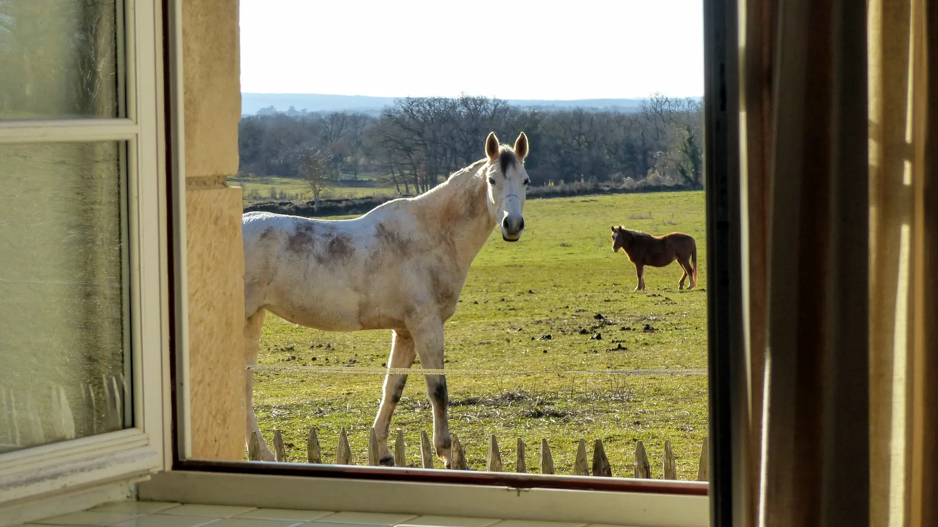 Coucou devant la fenêtre de la chambre avec deux lits