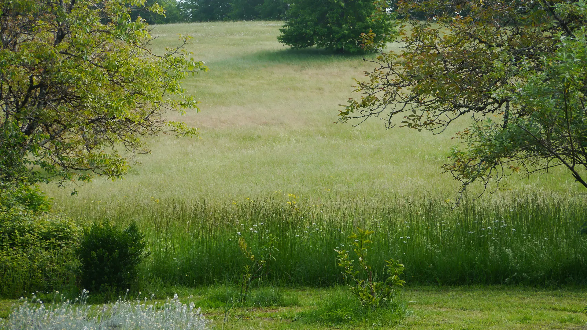 vue du jardin