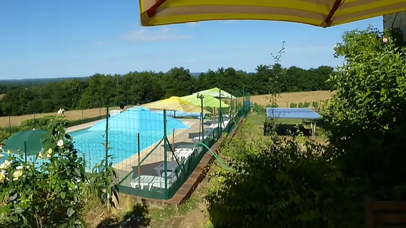 Vaste terrasse ombragée. Vue sur la piscine et la vaste nature environnante.