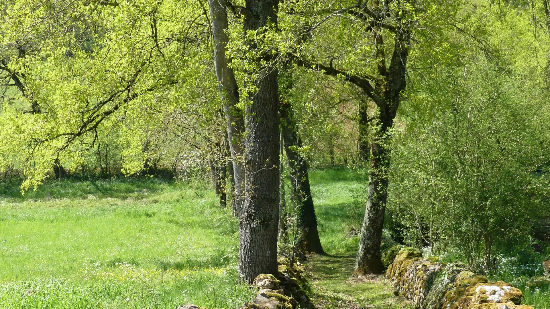 départ randonnées depuis le Hameau