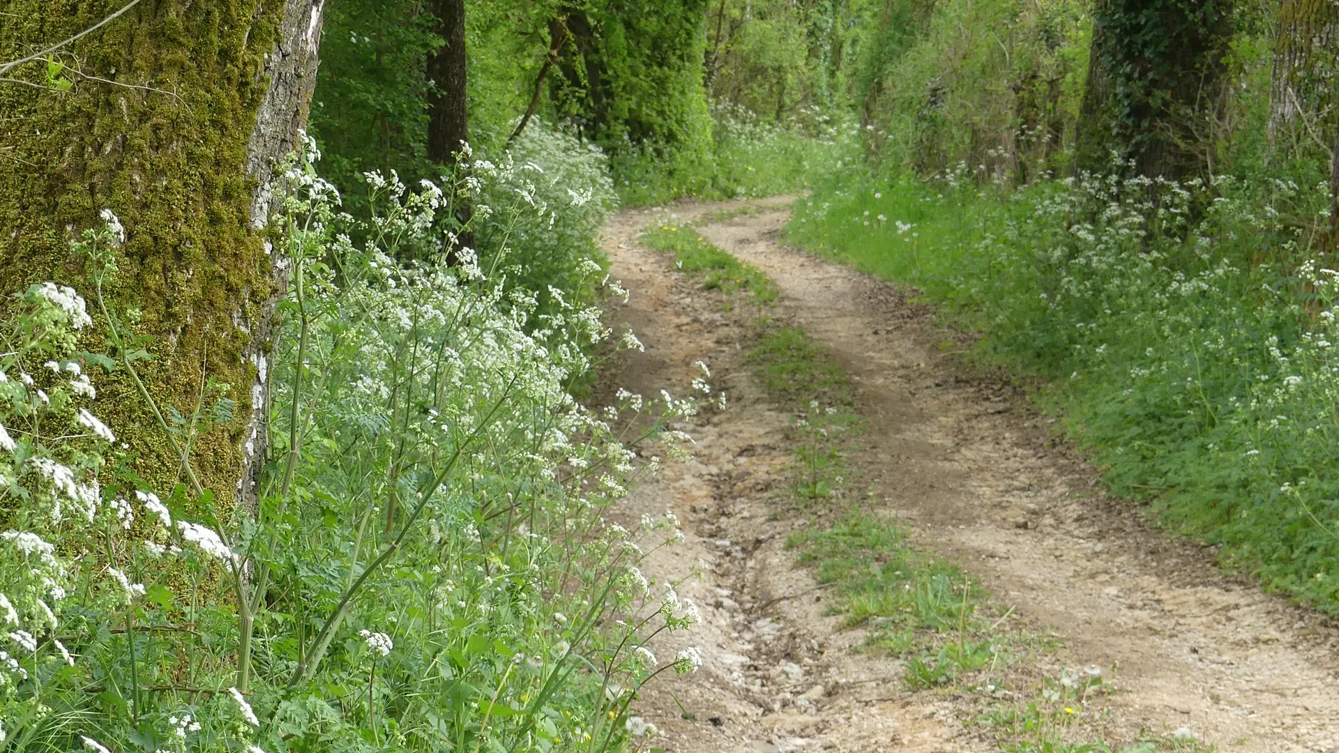 départ randonnées depuis le Hameau