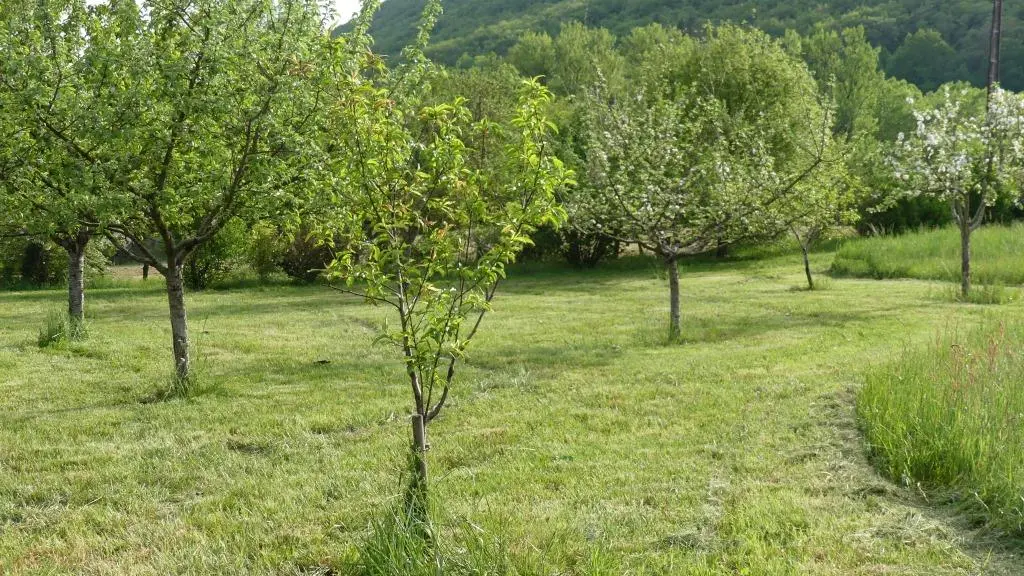 verger du Hameau du Quercy