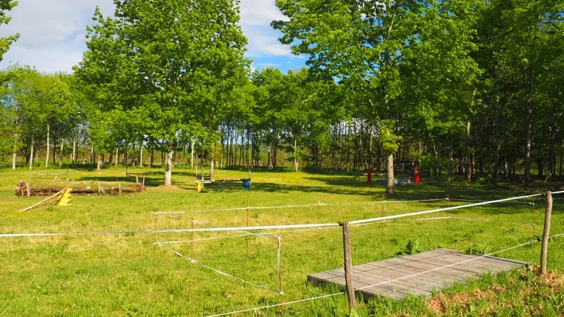 Centre Equestre Cheval Rando Equitation