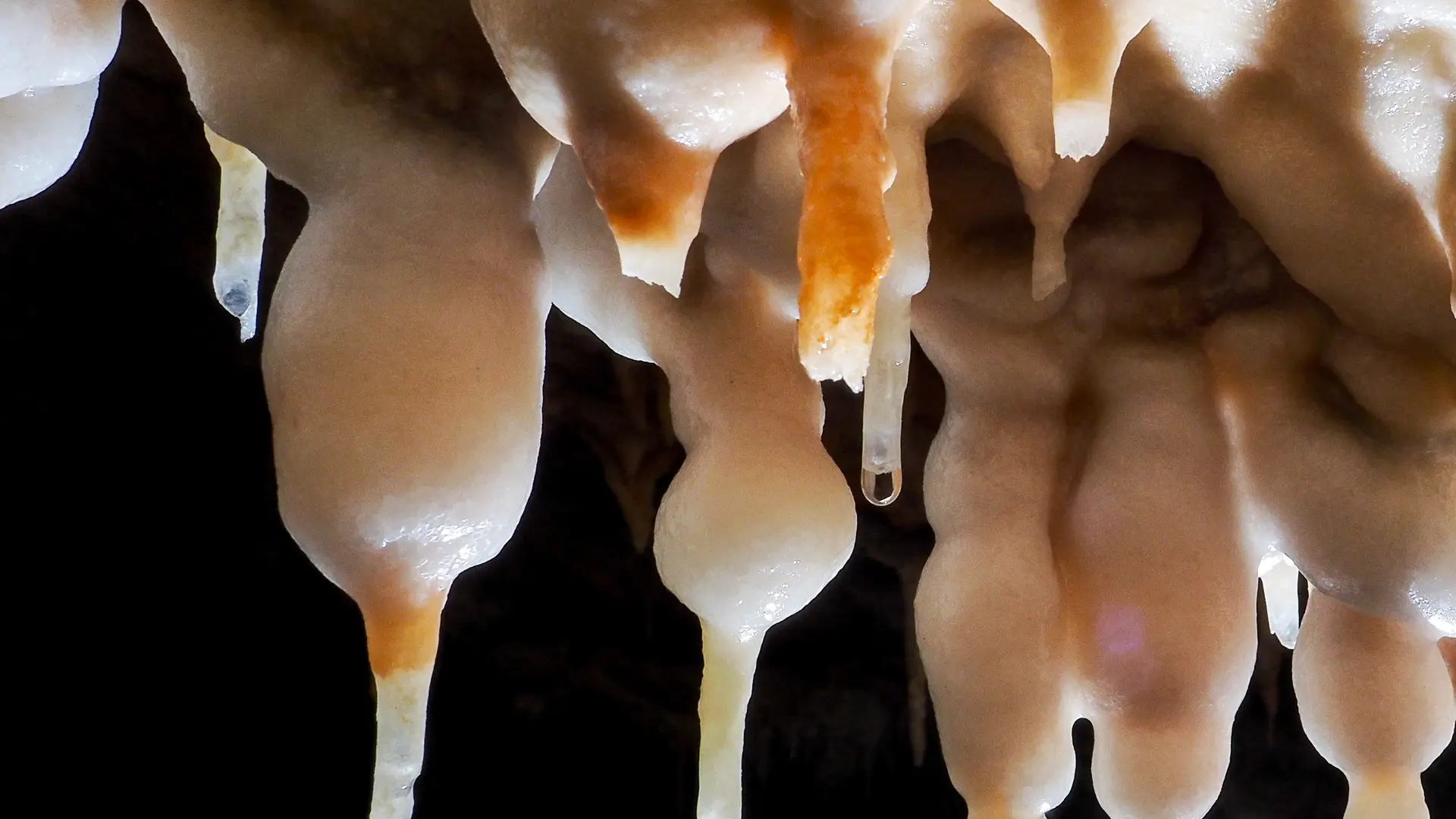 Bulles de calcite