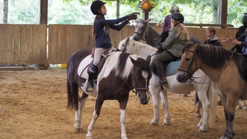 Centre Equestre Cheval Rando Equitation