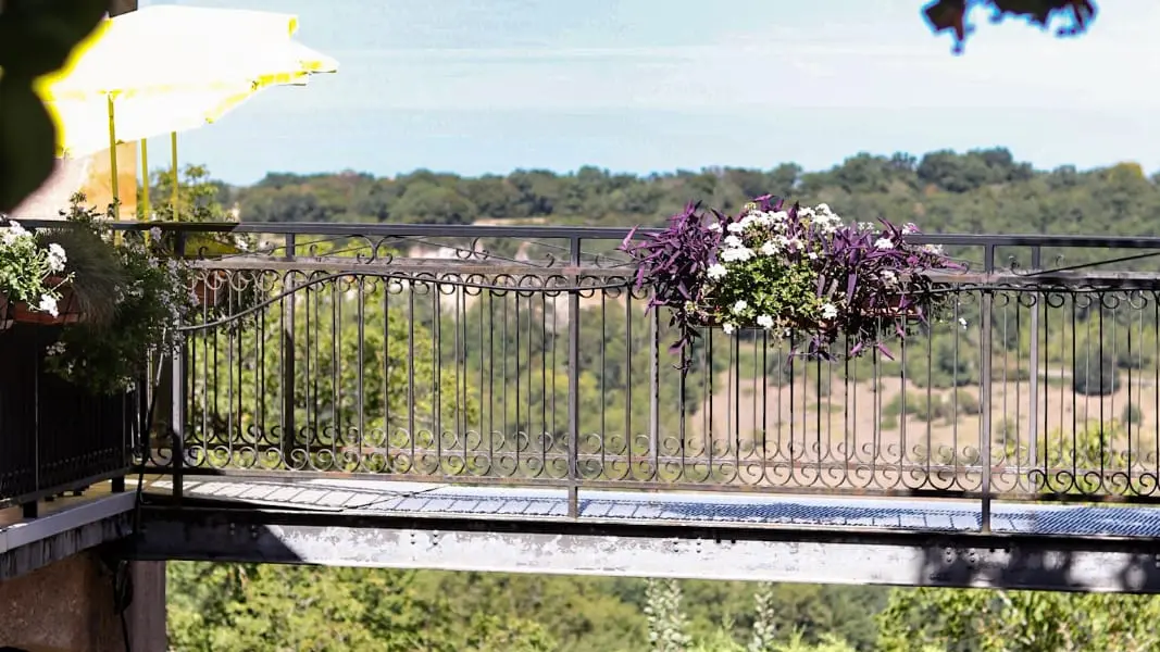 PHOTO-2020-08-27-23-24-11 (1)