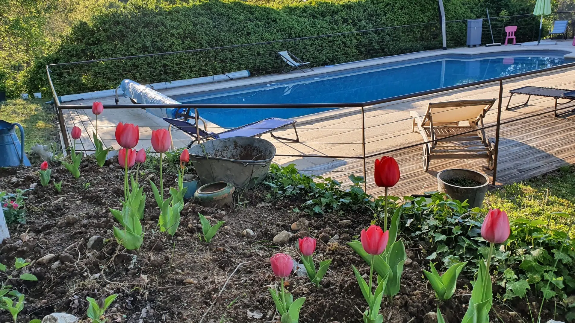 PHOTO TULIPES PISCINE