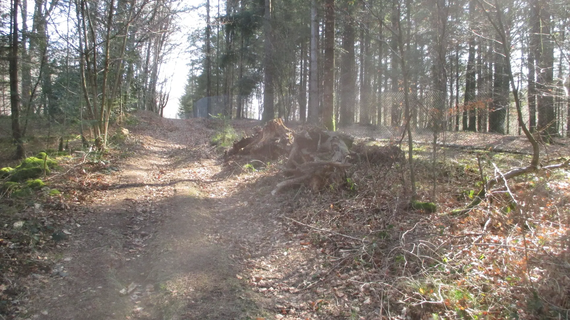 PISTE SUR LE SENTIER