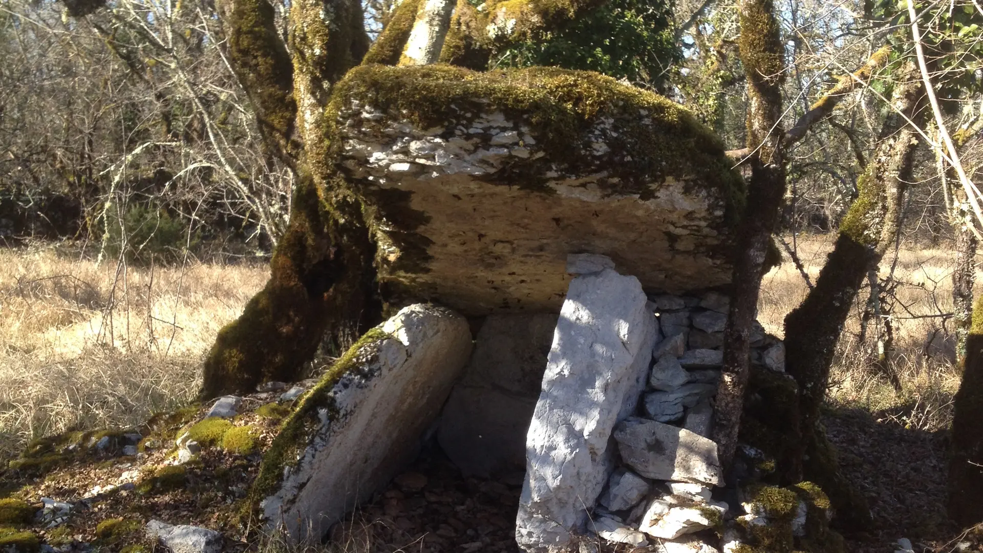 Dolmen-des-Agars
