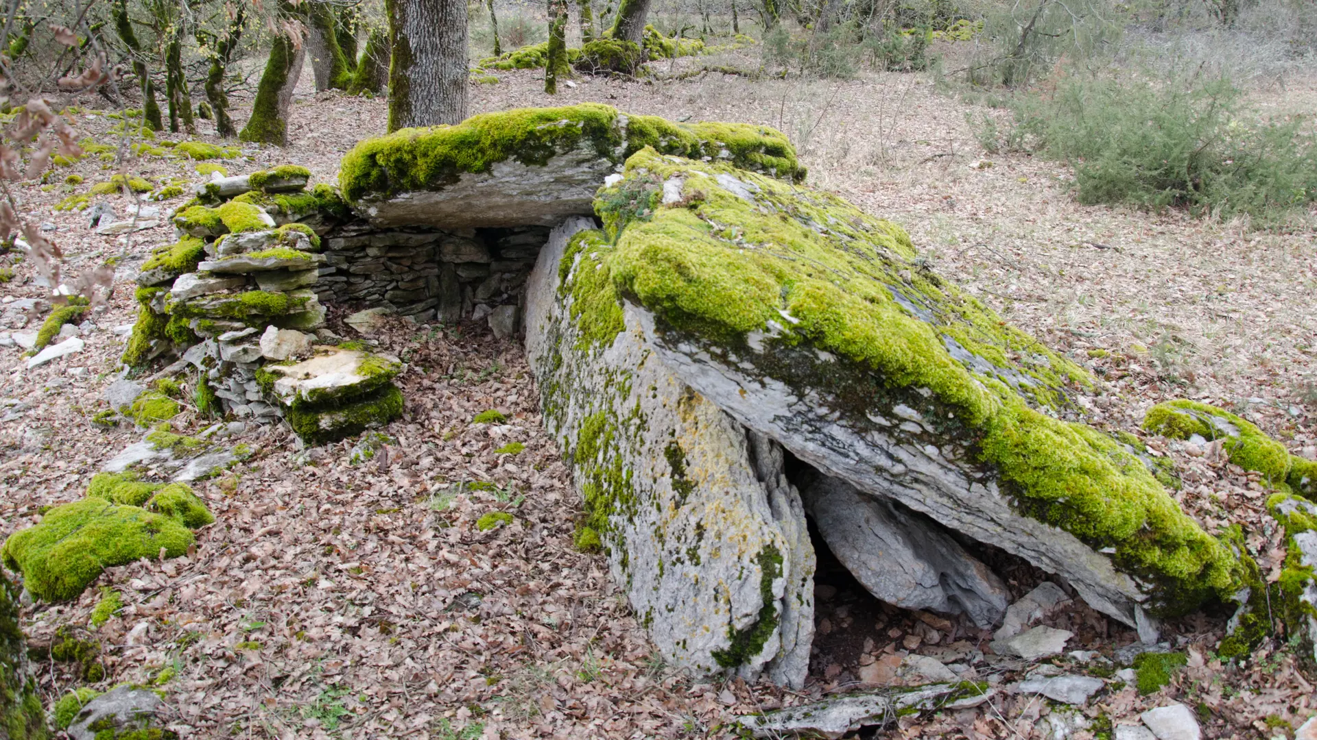 Dolmen-de-Pech-d-Agaïo
