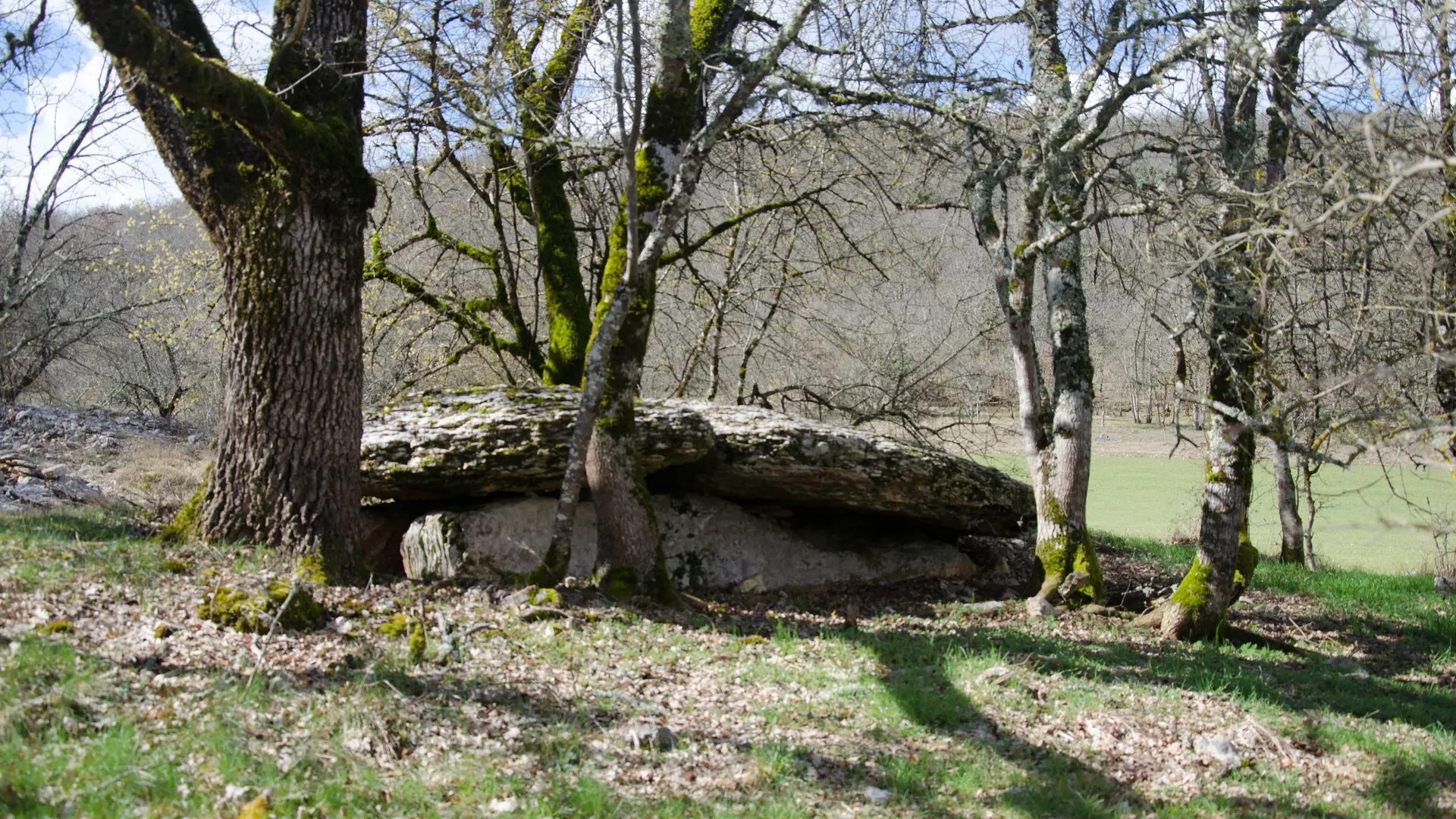 dolmen de la combe de Saule