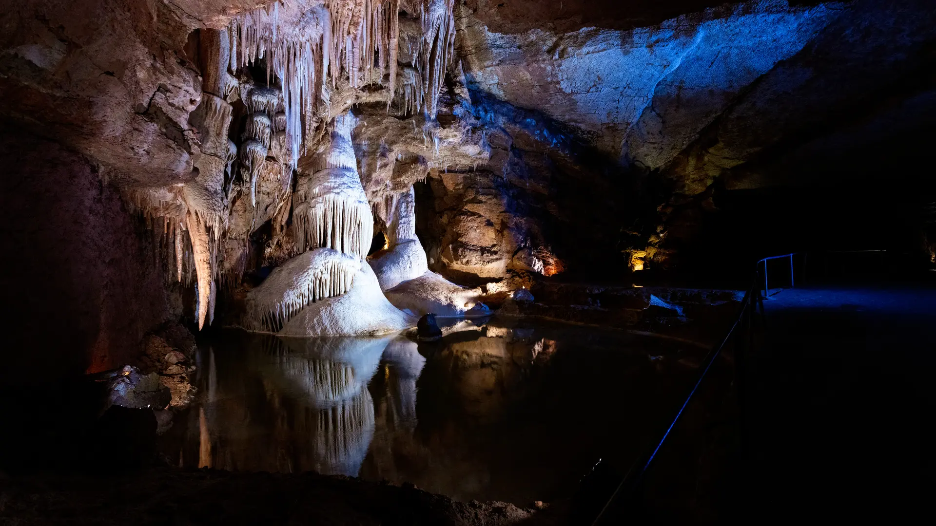 Salle de la Tarasque