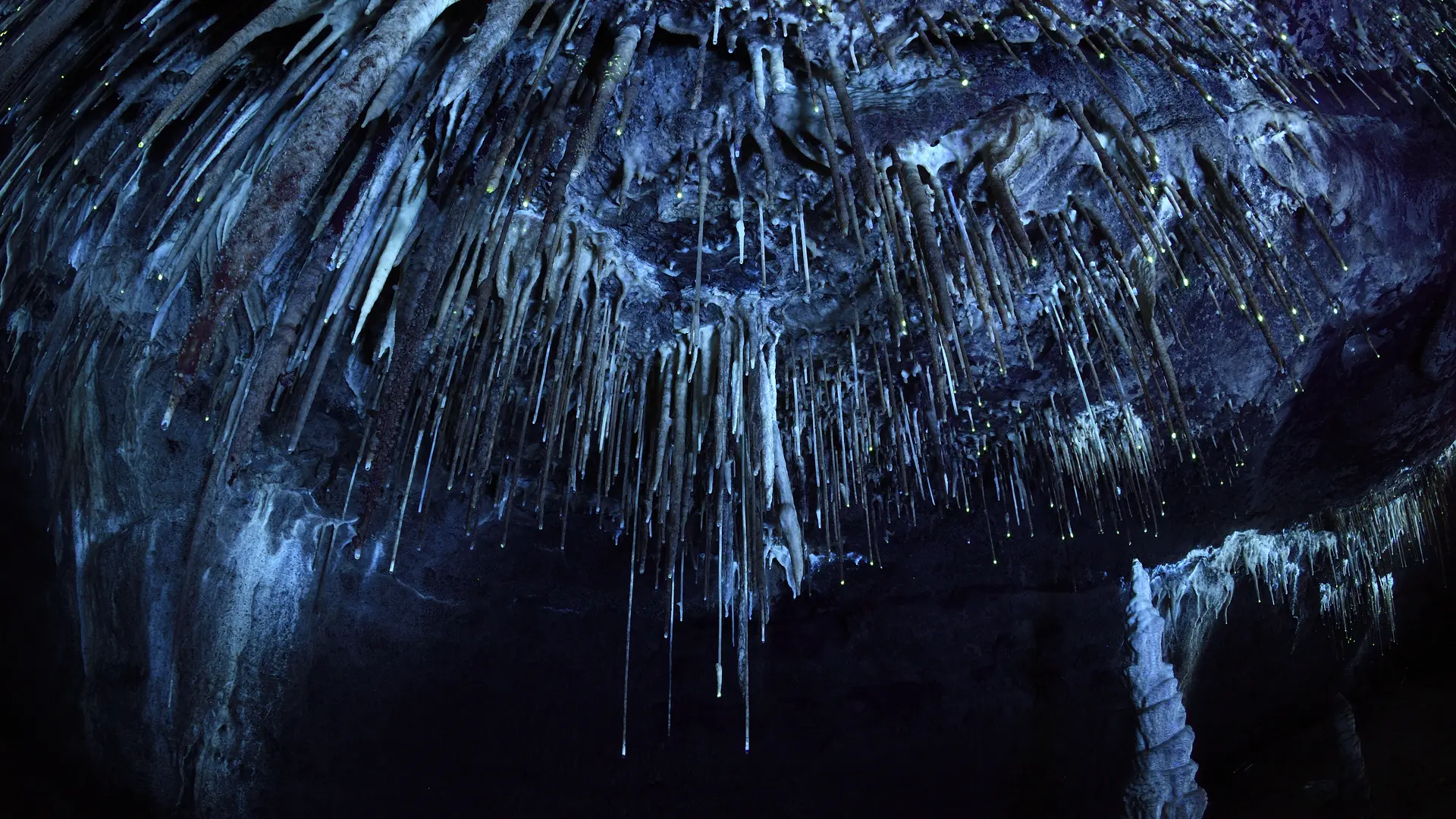 Salle des Lumières Noires