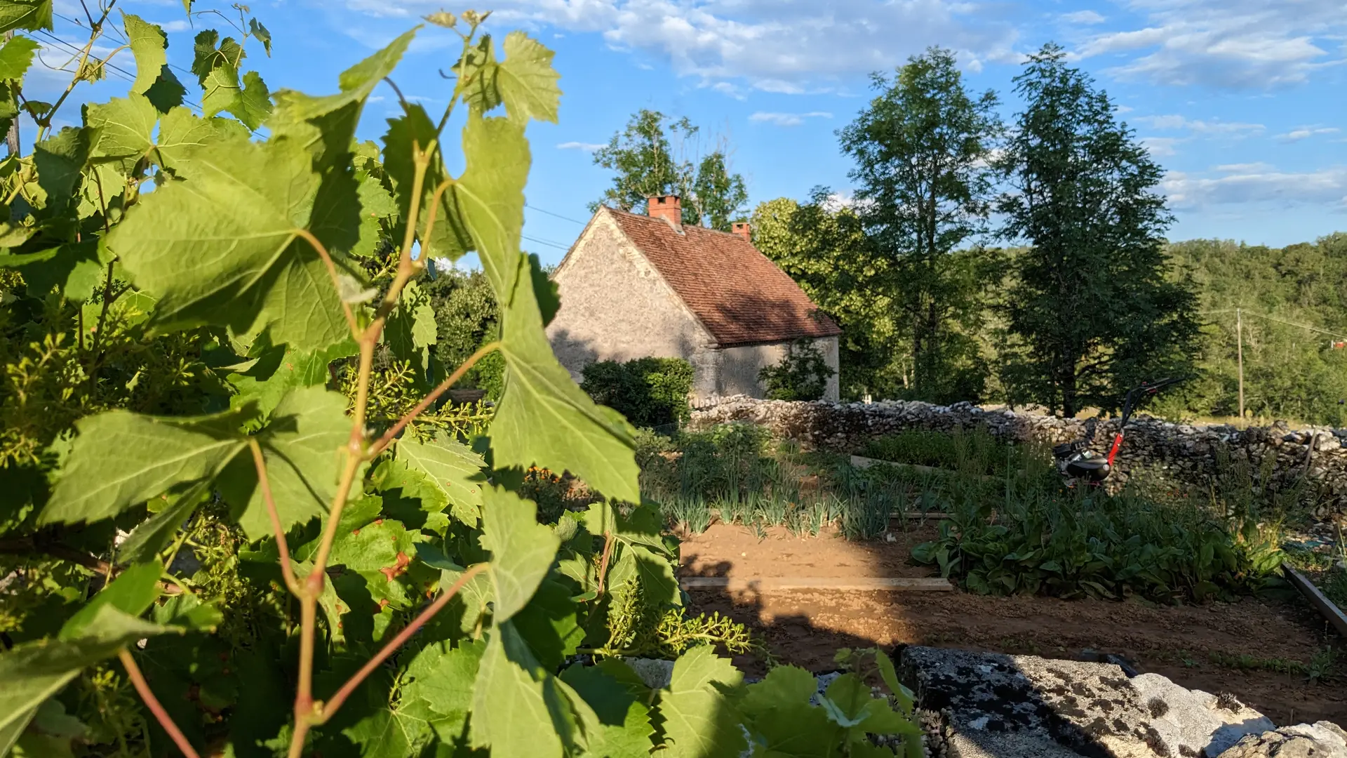 vue sur le potager