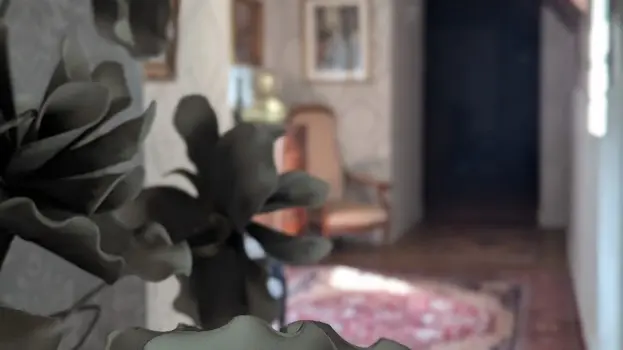 Couloir privée pour chambre d'hôtes