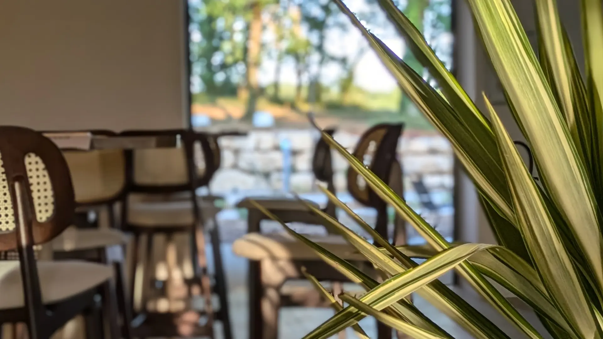 Le bar ouvert à tous