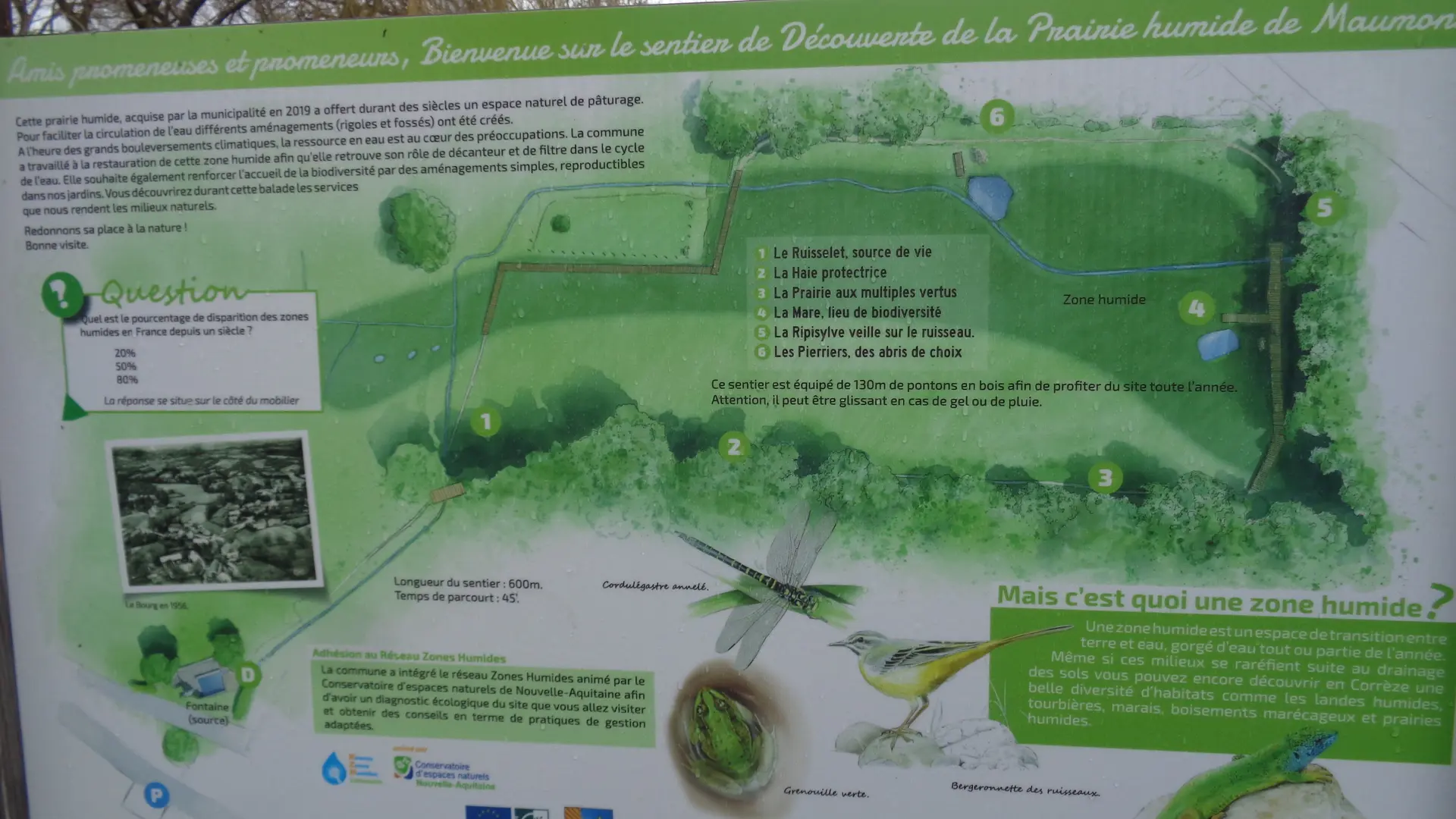 Panneau de présentation prairie humide de Maumont