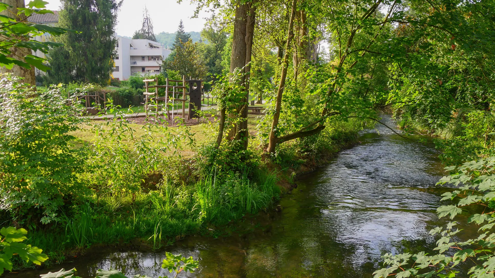 Parc Delmas été 2024 (3)