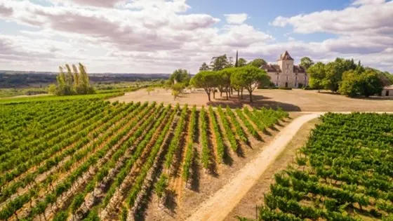 Parcours d'orientation - Château de Haute-Serre 2