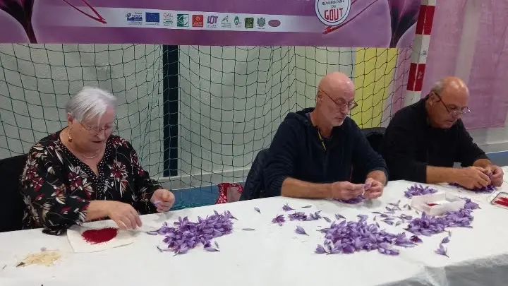 Période de récolte l'émondage