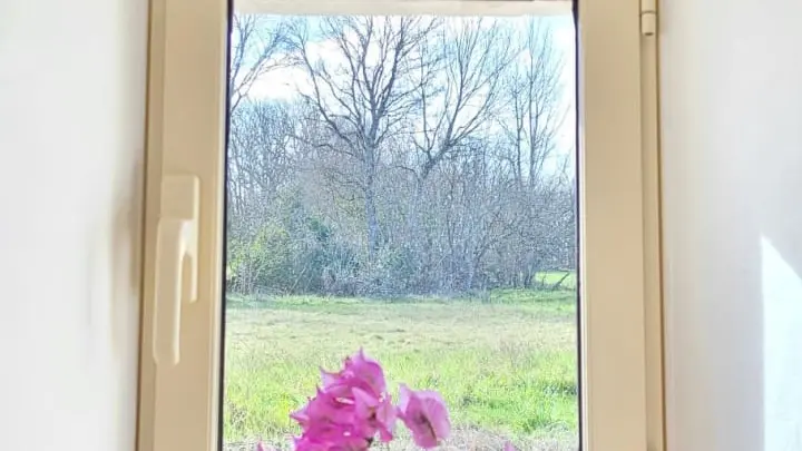 Petit gîte de Calvet vase 1
