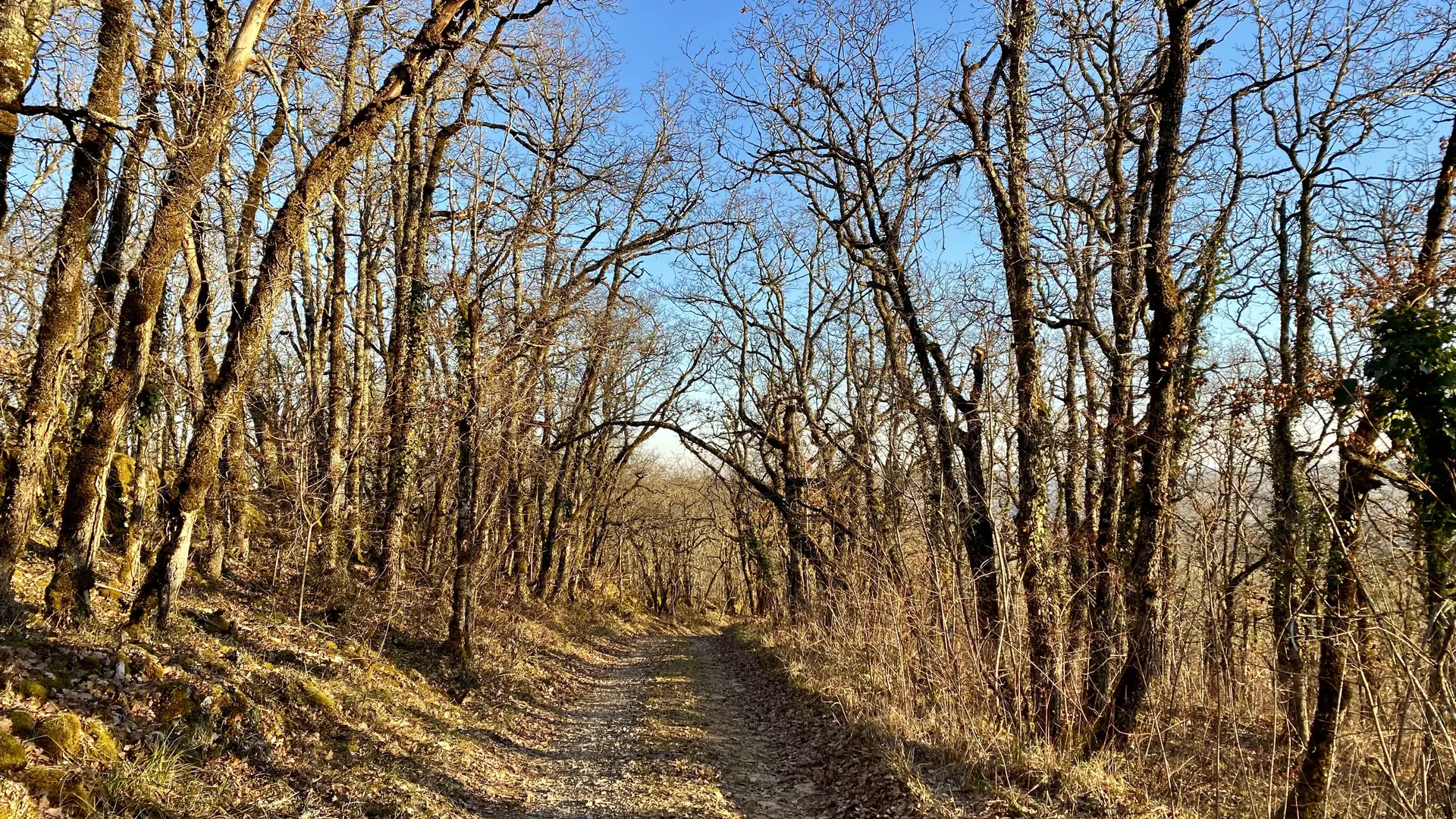 Chemin des Peyroutilles - Salviac