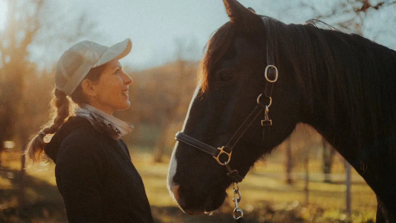 Photographe équestre Lot
