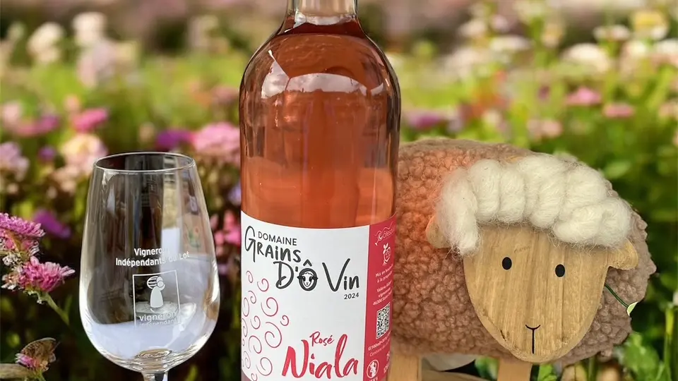 Photoroom_20251023_080634