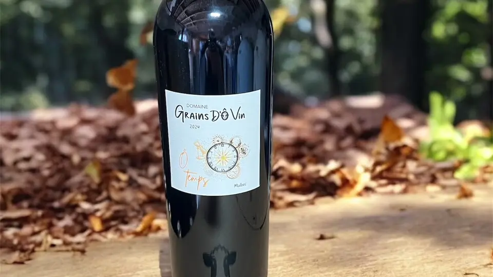 Photoroom_20251103_140930