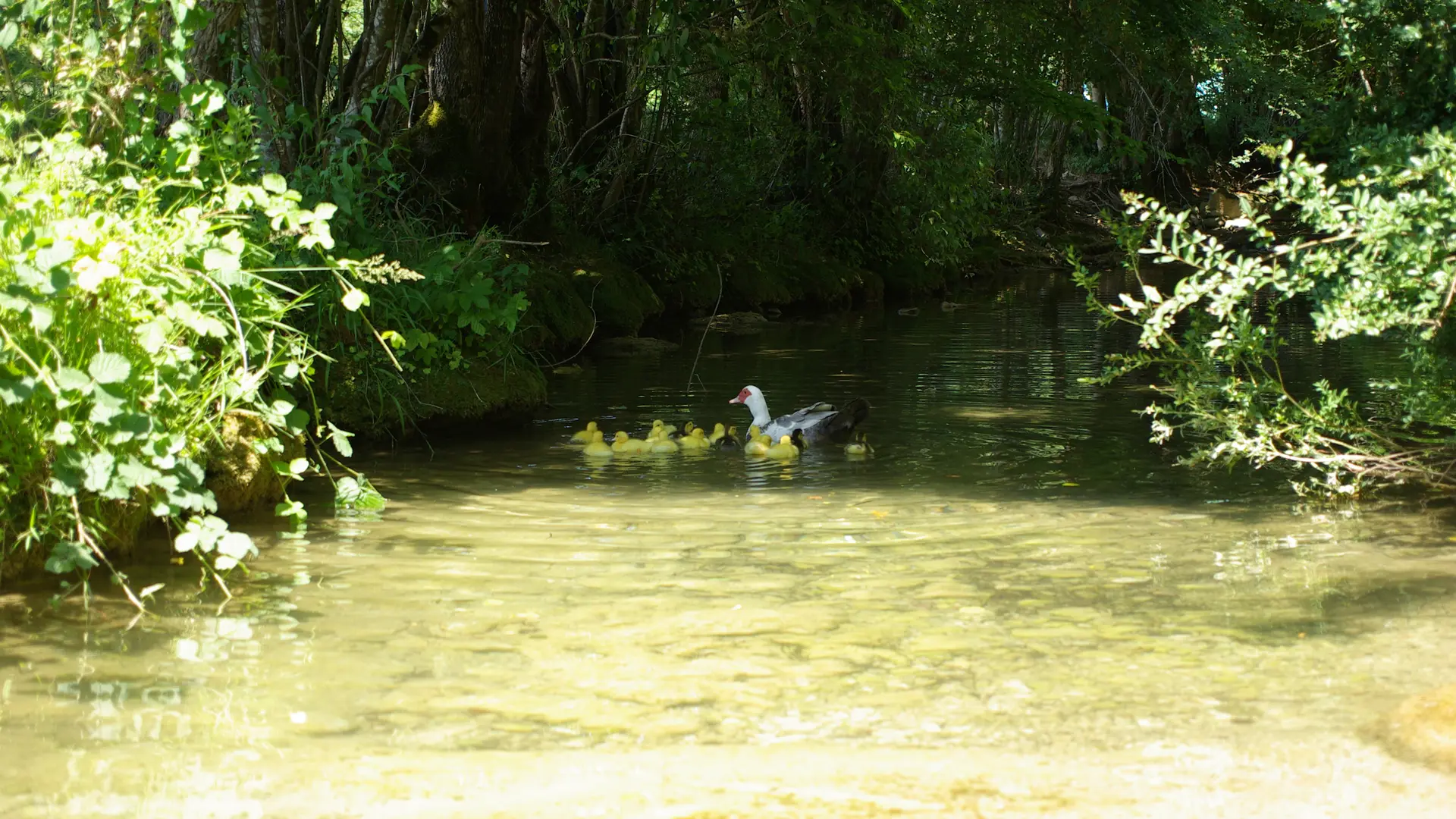 Ruisseau du Vers