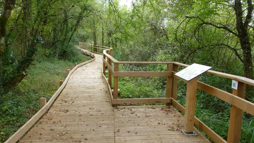 Sentier d'Interprétation au Marais de Bonnefont