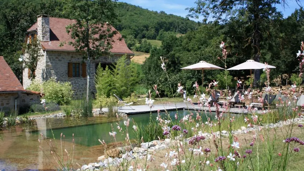 Piscine écologique commune - Gîte 