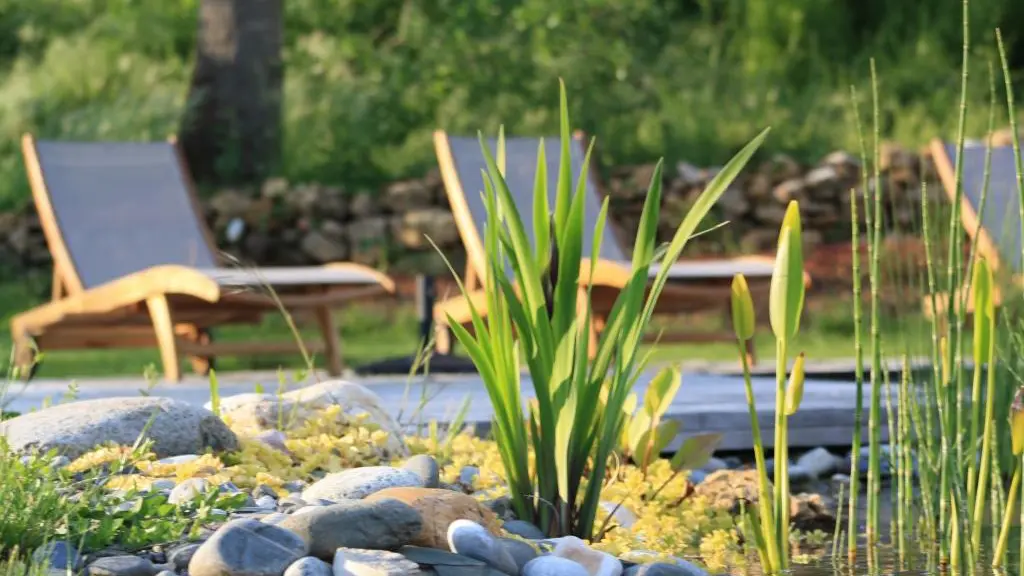 Piscine naturelle esprit zen