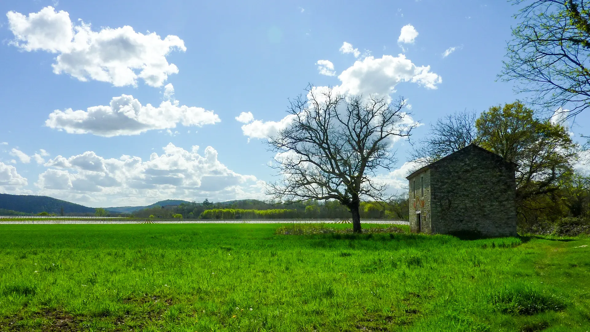 Pissobi - Maison de vigne © Lot Tourisme - C. Sanchez