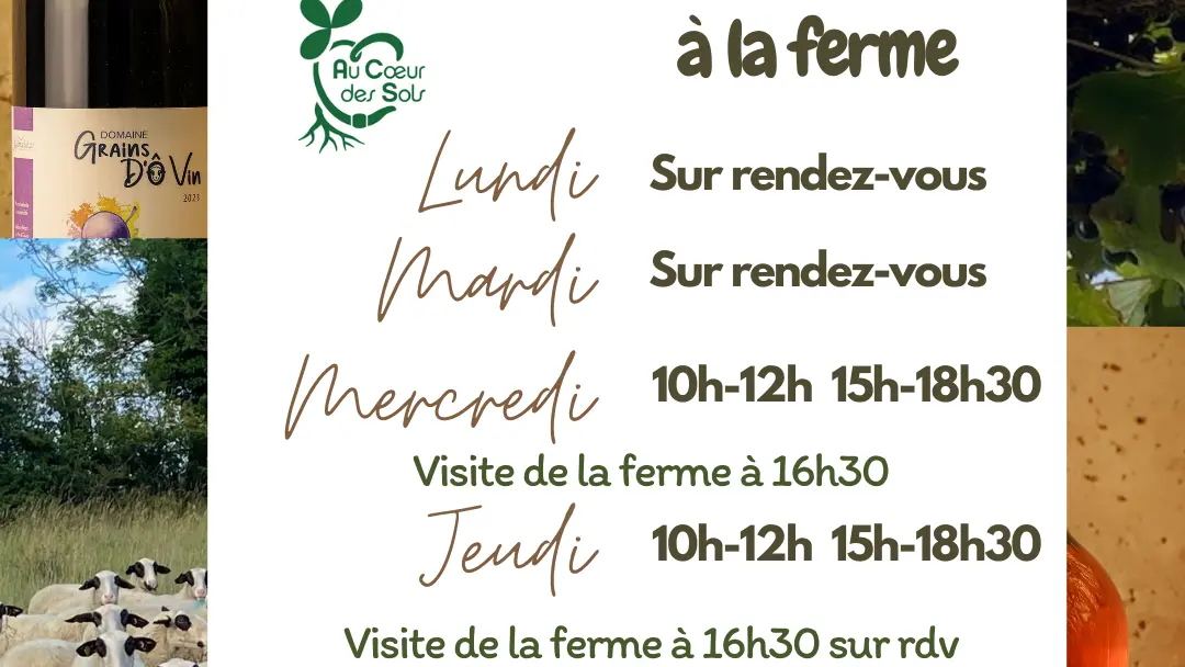 Post Instagram Horaires Ouverture Commerce Entreprise Moderne Minimal Blanc Noir Coloré - 1