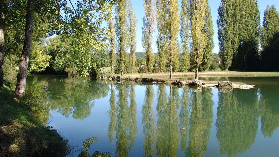 Plan d'eau 2 - Cathy Mabout