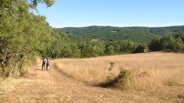 Promenade d'été aux Roches