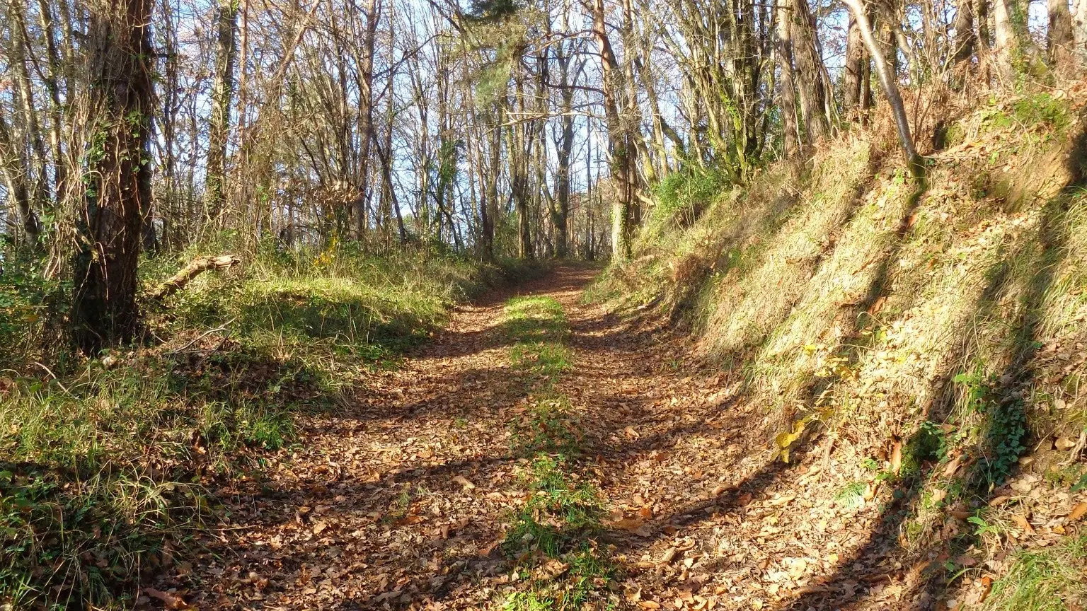 Puy d'Arnac - cafoulière 1 - VTT