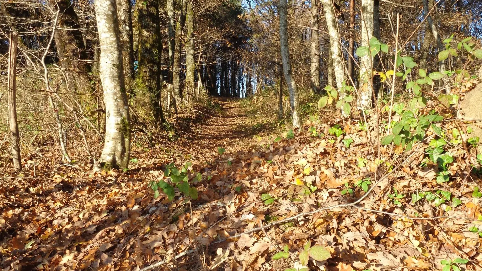 Puy d'Arnac - cafoulière 2 - VTT