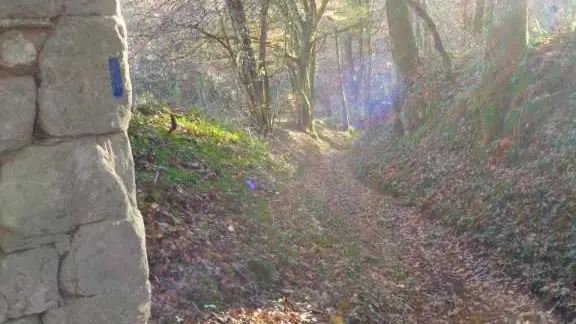 Puy d'Arnac - cafoulière 6 - VTT