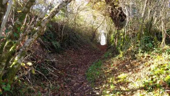 Queyssac - sentes 4 - VTT