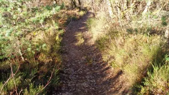 Queyssac - sentes 5 - VTT