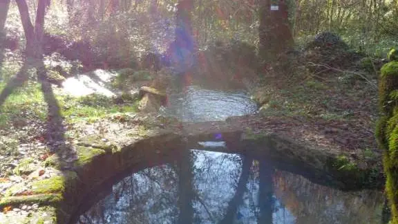 Queyssac - sentes 6 - VTT