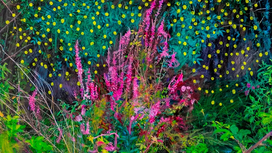 ROADSIDE GARDEN, 2025