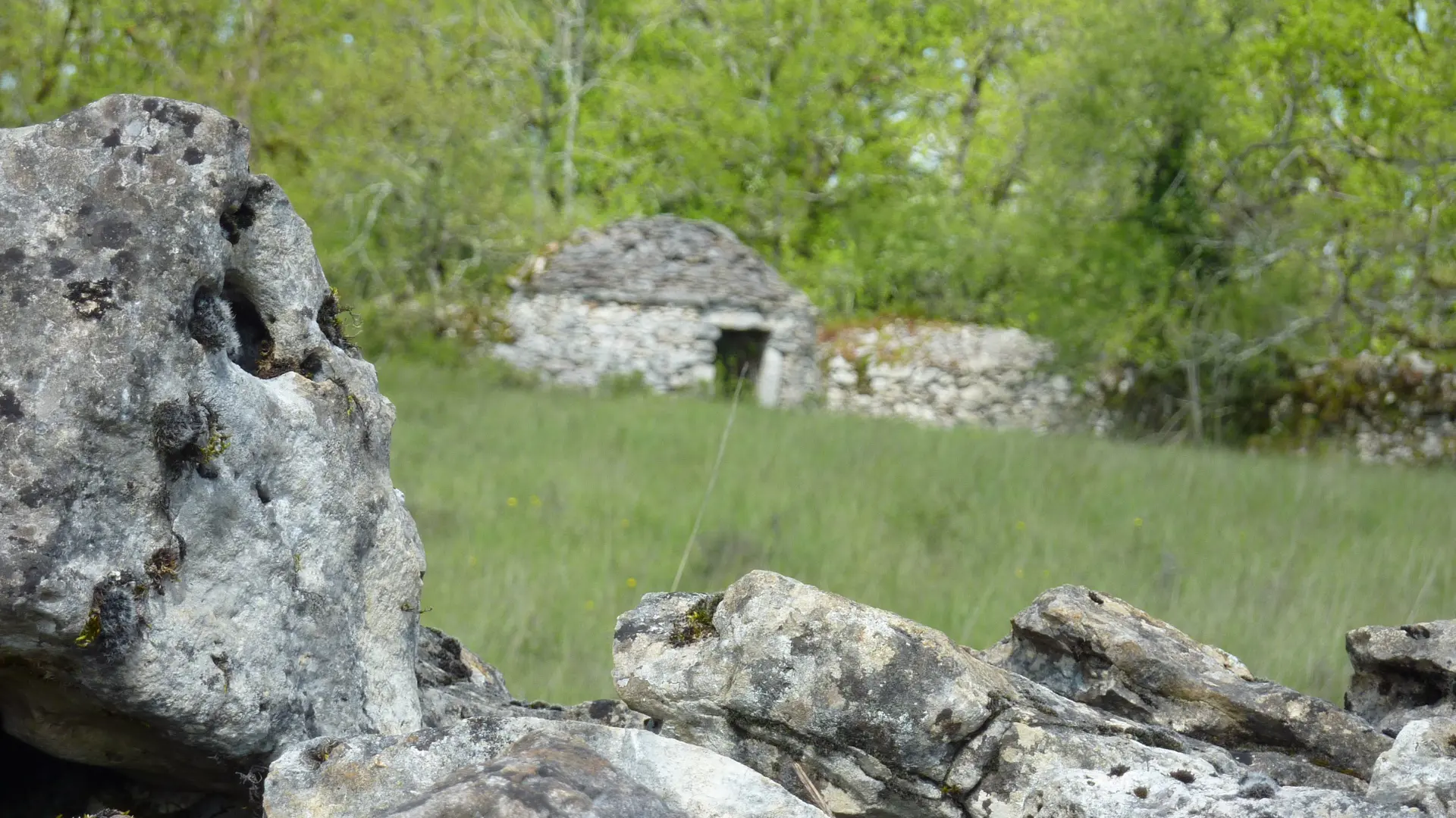 Reyrevignes - Cazelle derriere son muret de en pierre_12 © Lot Tourisme - C. Sanchez