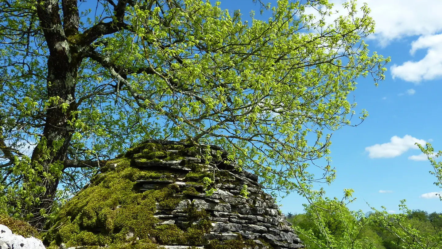 Reyrevignes - Gariotte jonchée sur le causse_08 © Lot Tourisme - C. Sanchez