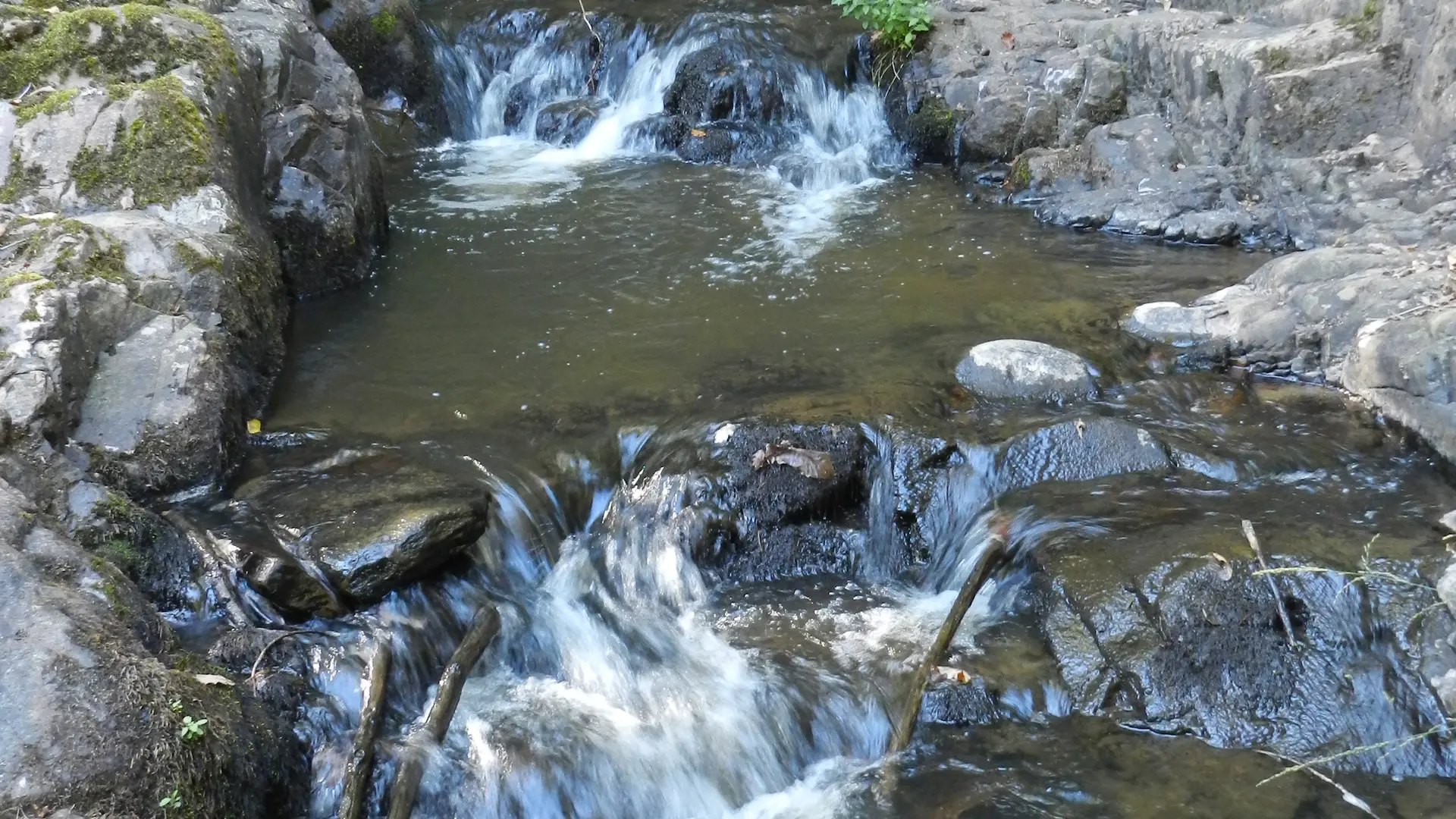 Rivière du Coyroux 1
